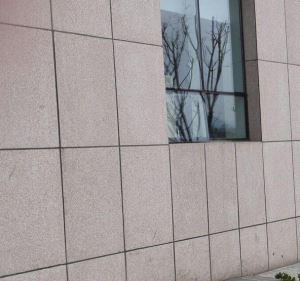 山東省五蓮紅干掛